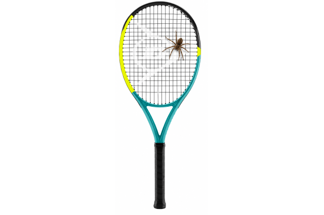 Lauko teniso raketė DUNLOP SX TEAM 105 (27")
