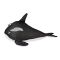 Water toy BECO SEALIFE FIN Floating Water toy BECO SEALIFE FIN Floating