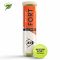 Lauko teniso kamuoliukai DUNLOP FORT CLAY COURT 4vnt Lauko teniso kamuoliukai DUNLOP FORT CLAY COURT 4vnt