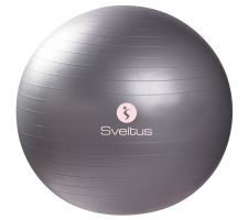 Gym ball SVELTUS Anti burst 65cm, grey + box