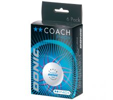 Table tennis ball DONIC P40+  Coach 2 star 6 pcs White