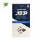 Lauko teniso kamuoliukai DUNLOP ATP CHAMPIONSHIP Entry 2x4PET ITF Lauko teniso kamuoliukai DUNLOP ATP CHAMPIONSHIP Entry 2x4PET ITF