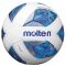 Futbolo kamuolys MOLTEN F5N1710