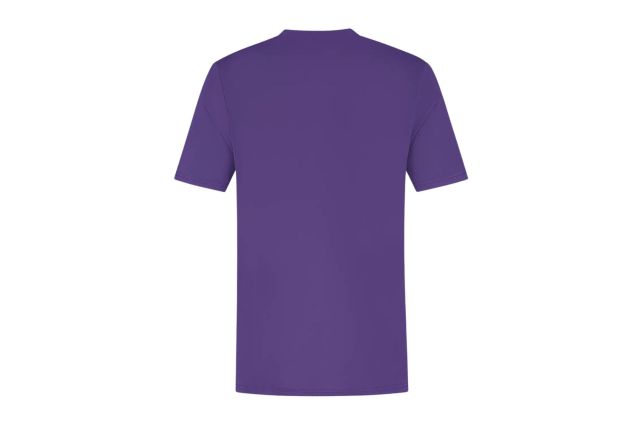 Vyriški marškinėliai DUNLOP GAME TEE M dydis Vyriški marškinėliai DUNLOP GAME TEE M dydis