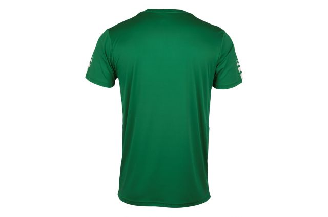 T-shirt for men DUNLOP Club L green/white T-shirt for men DUNLOP Club L green/white