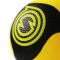 Balls SPIKEBALL Pro 2pcs Balls SPIKEBALL Pro 2pcs