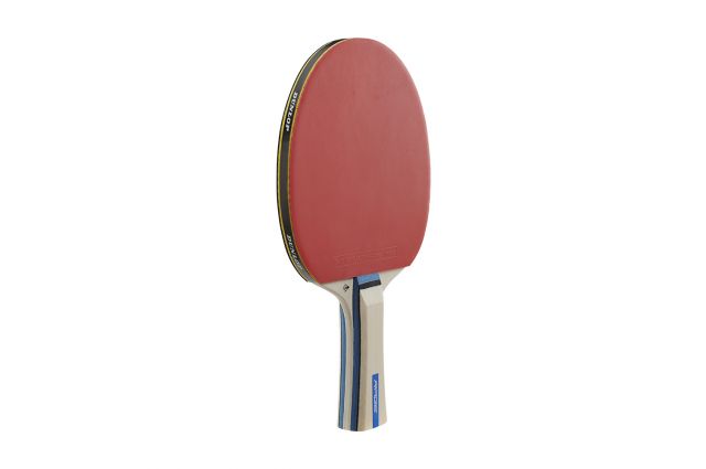 Table tennis bat Dunlop RAGE Table tennis bat Dunlop RAGE