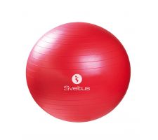 Gymball red Ø65 cm bulk