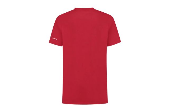 T-shirt DUNLOP ESSENTIALS PROMO M dark red T-shirt DUNLOP ESSENTIALS PROMO M dark red