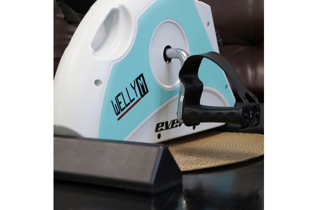 Exercise bike EVERFIT mini WELLY-M Exercise bike EVERFIT mini WELLY-M