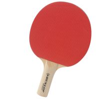 Table tennis bat Dunlop BT20