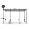 14' Monkey Bar Rig FREEMOTION 14' Monkey Bar Rig FREEMOTION