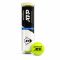 Lauko teniso kamuoliukai DUNLOP ATP CHAMPIONSHIP Entry 2x4PET ITF Lauko teniso kamuoliukai DUNLOP ATP CHAMPIONSHIP Entry 2x4PET ITF
