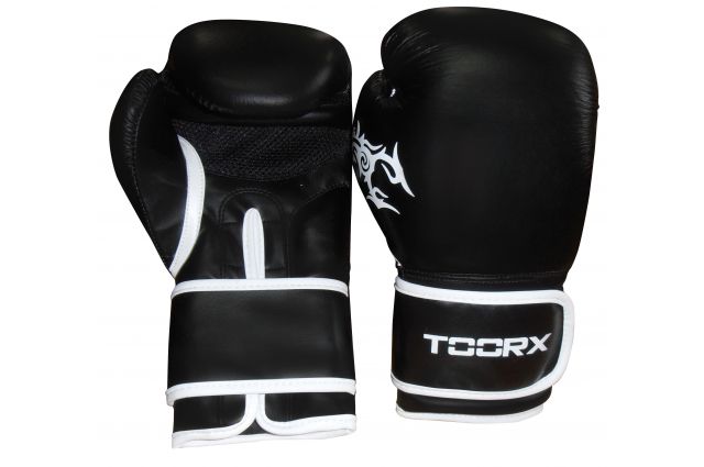 Boxing gloves TOORX PANTHER