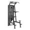 Assisted Pull-Up/Chin-Up/DIP TOORX PLX-8400 Professional Assisted Pull-Up/Chin-Up/DIP TOORX PLX-8400 Professional