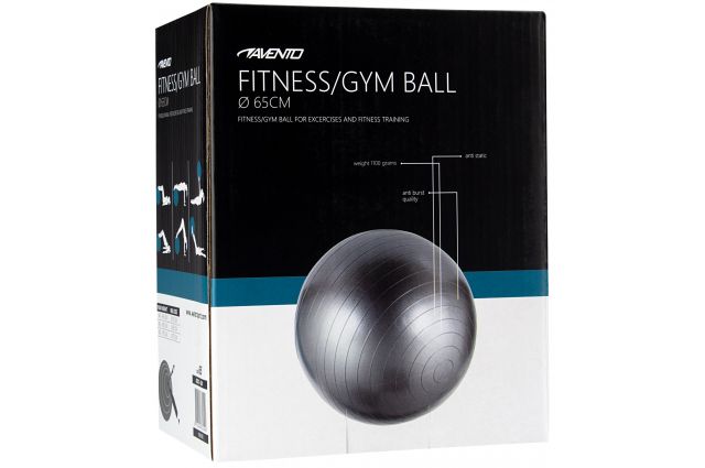 Gym Ball AVENTO 42OB 65cm Silver Gym Ball AVENTO 42OB 65cm Silver