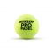 Padel teniso kamuoliukai DUNLOP PRO Padel Padel teniso kamuoliukai DUNLOP PRO Padel