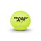 Lauko teniso kamuoliukai DUNLOP ATP CHAMPIONSHIP 4vnt Lauko teniso kamuoliukai DUNLOP ATP CHAMPIONSHIP 4vnt