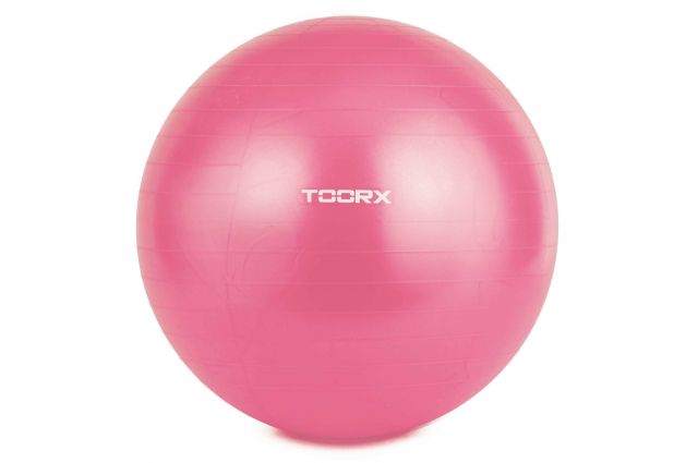 Toorx Gym ball AHF-069 D55cm with pump Toorx Gym ball AHF-069 D55cm with pump