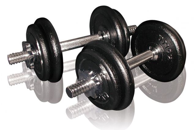 Cast iron weight dumbbells set with case TOORX 0.75-15 kg Cast iron weight dumbbells set with case TOORX 0.75-15 kg