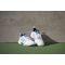 Teniso batai vyr. K-SWISS HYPERCOURT SUPREME 2 white/stargazer