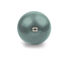 Gimnastikos kamuolys TOORX Liveness AYP-001 55cm