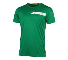 T-shirt for men DUNLOP Club, L green/white