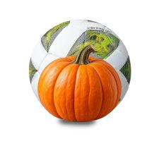 Futbolo kamuolys MOLTEN F3A3400-G
