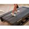 Treadmill NORDICTRACK X24 Treadmill NORDICTRACK X24