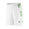 Shorts for men DUNLOP GAME