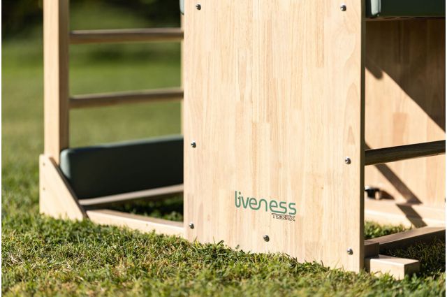 Pilates Ladder Barrel TOORX Liveness PTX-1900G Green Tea Pilates Ladder Barrel TOORX Liveness PTX-1900G Green Tea