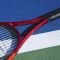 Tennis racket Dunlop CX200 (27") G3 Tennis racket Dunlop CX200 (27") G3