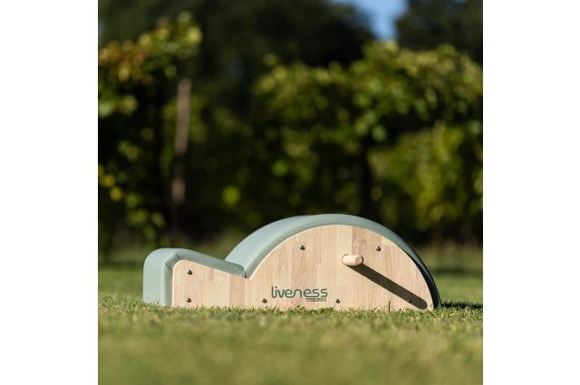 Pilateso stuburo korektorius TOORX Liveness PTX-1700G Pilateso stuburo korektorius TOORX Liveness PTX-1700G