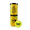 Padel tennis balls Dunlop TEAM PADEL 3pet Padel tennis balls Dunlop TEAM PADEL 3pet