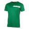 T-shirt for men DUNLOP Club L green/white