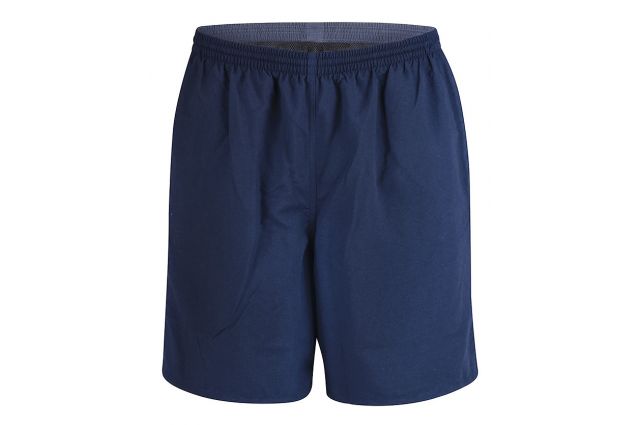 Swim shorts for men FASHY 2470 54 Mėlyna