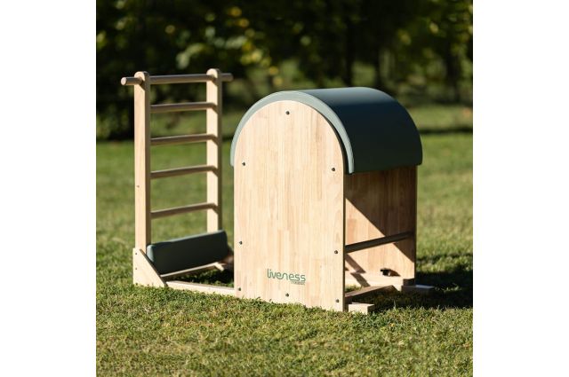 Pilates Ladder Barrel TOORX Liveness PTX-1900G Green Tea Pilates Ladder Barrel TOORX Liveness PTX-1900G Green Tea