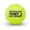 Tennis balls Dunlop FORT ALL COURT TS Premium 4-tin ITF Tennis balls Dunlop FORT ALL COURT TS Premium 4-tin ITF