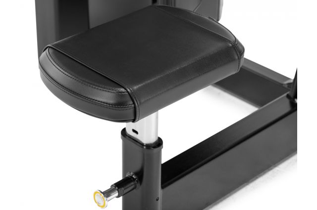 Strength machine FREEMOTION EPIC Selectorized Lateral Torso Strength machine FREEMOTION EPIC Selectorized Lateral Torso