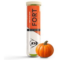 Tennis balls DUNLOP FORT CLAY COURT Premium 4PET ITF