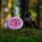 Discgolf DISCMANIA Putter D-LINE FLEX 3 Rainmaker Eagle Mcmahon Purple 2/3/0/0,5 Discgolf DISCMANIA Putter D-LINE FLEX 3 Rainmaker Eagle Mcmahon Purple 2/3/0/0,5