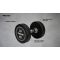 Hantelis AVENTO 42DP 10kg Hantelis AVENTO 42DP 10kg